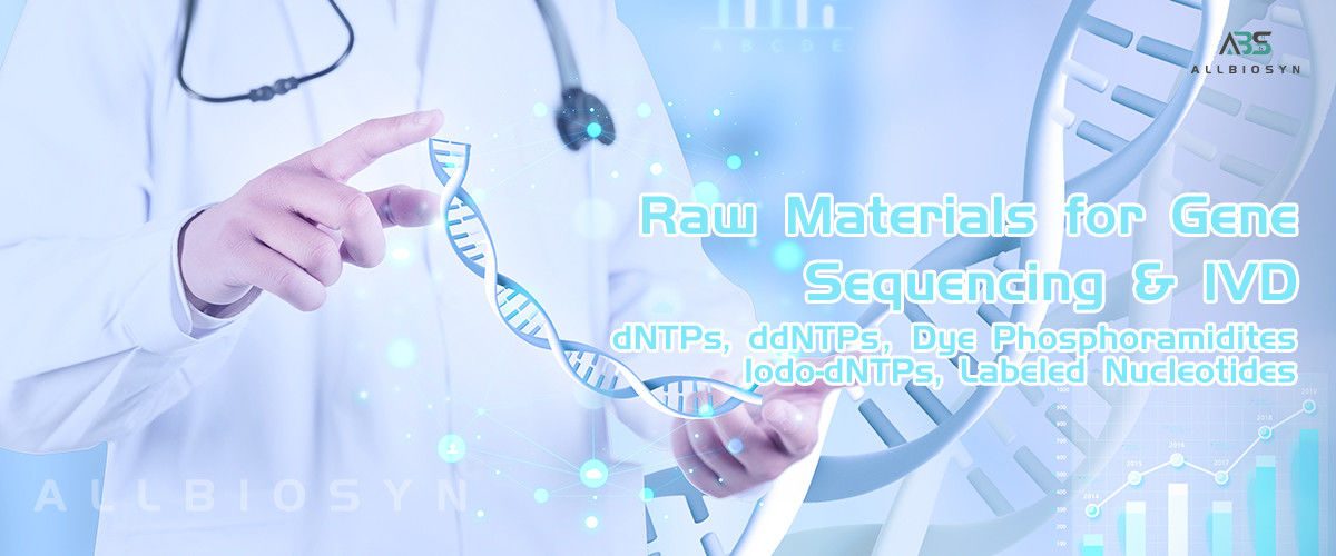 China best Nucleotides on sales